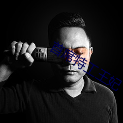 首席特工王妃