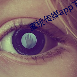 蜜桃(táo)传媒app下载