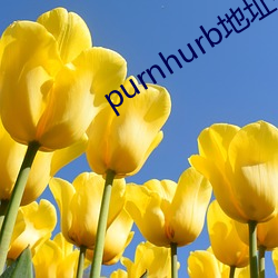 purnhurbַǶ