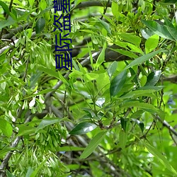 米乐M6·(中国)官方网站