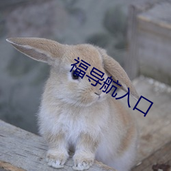 福導航入口