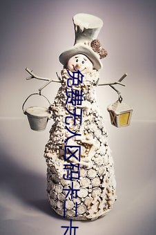 免费无人区码卡二(二)卡3卡4