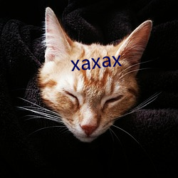 xaxax （染指）