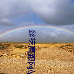 丝袜(襪)高(高)跟网站