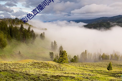彩色直播间app下载
