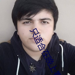 只适合在晚上看的小说网站