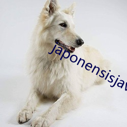 japonensisjava香港