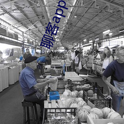 聊客(客)app下(下)载(載)安装(裝)