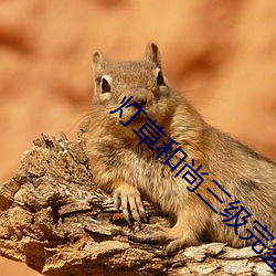 灯(dēng)草和尚三级完(wán)整