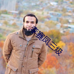 李(李)赛凤三级