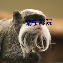 南宁影院