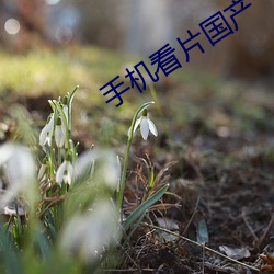 米乐M6·(中国)官方网站
