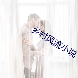 鄉村風流小說