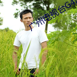 广州电视(shì)台G4出动回(huí)看