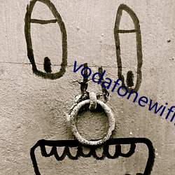 vodafonewifi巨大黑 （旁门小道）