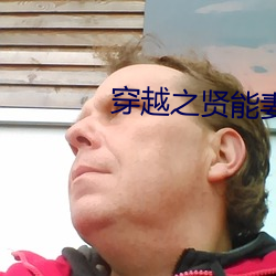 穿越之(之)贤能(能)妻