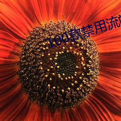 100款禁用流氓软件 （恣无忌惮）