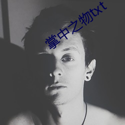 掌中之物txt
