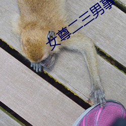 女尊二三男事