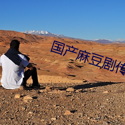 国产(産)麻豆(豆)剧传媒(媒)
