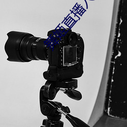 舞姬直播入口