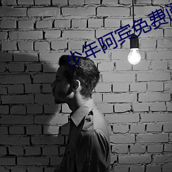 少年阿宾免费阅读