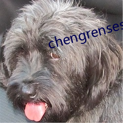 chengrensese