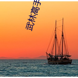 武(武)林高手在校(校)园