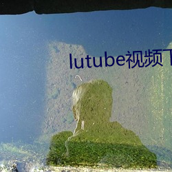 九游会登录j9入口 - 中国官方网站 | 真人游戏第一品牌