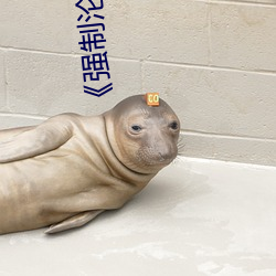 《强制沦陷》txt