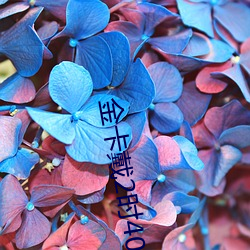 金卡戴2时40分