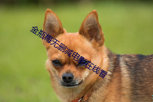 vwinӮ(й) - ٷվ
