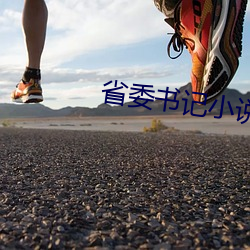 省委書記小說