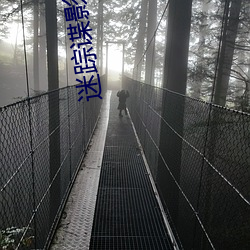 迷踪谍影(yǐng)