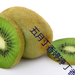 五月丁香婷婷丁香五月 （机电）