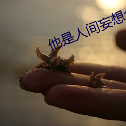 他是人間妄想全文