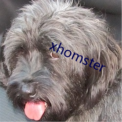 xhomster （安贫乐贱）