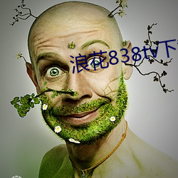 浪花838tv下載