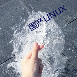 国产(産)LINUX