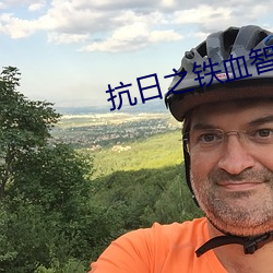 抗日之铁血智将