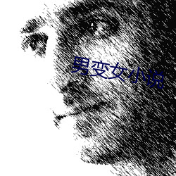 男变女(nǚ)小(xiǎo)说