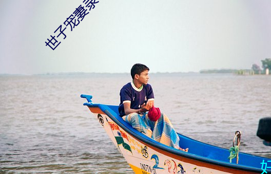 世子宠妻录