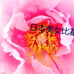 日本美女比基尼
