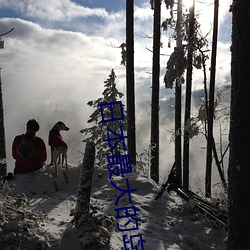 日本最(最)大的岛屿