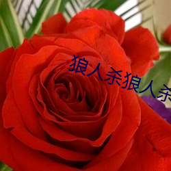九游会登录j9入口 - 中国官方网站 | 真人游戏第一品牌