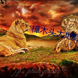 樟木头大地数字影院 硬是）