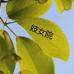 妓女(女)院(院)