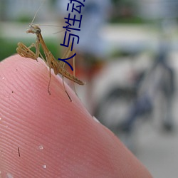 人(人)与性动交ⅩXXXBBBB