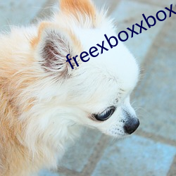 freexboxxboxcodex