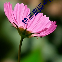快三直播平台推薦